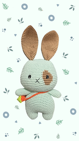 Rabbit - Bunny Wanda 0037