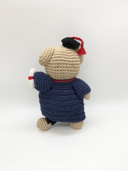 Bear Graduation Boy 0034B