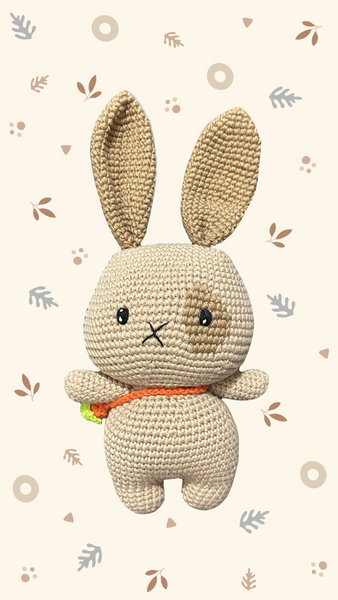 Rabbit - Bunny Wanda 0037