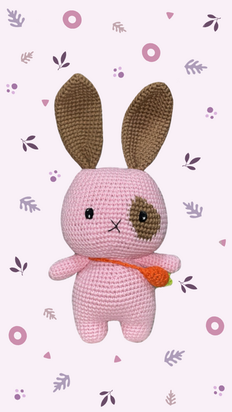 Rabbit - Bunny Wanda 0037