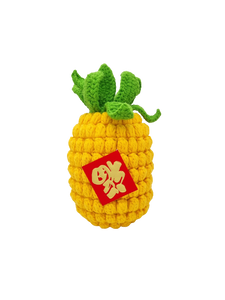 Pineapple 0021